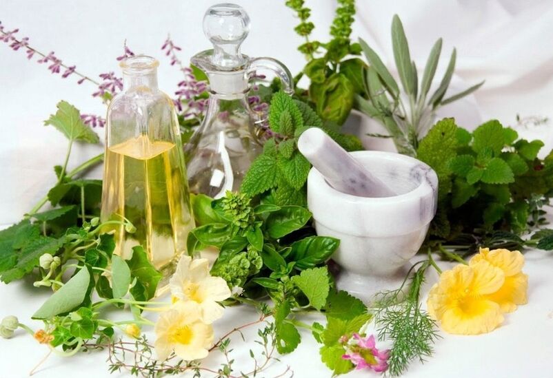 Unha variedade de herbas medicinais para compresas para varices